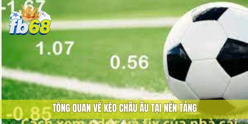 Tổng quan về kèo châu Âu tại nền tảng